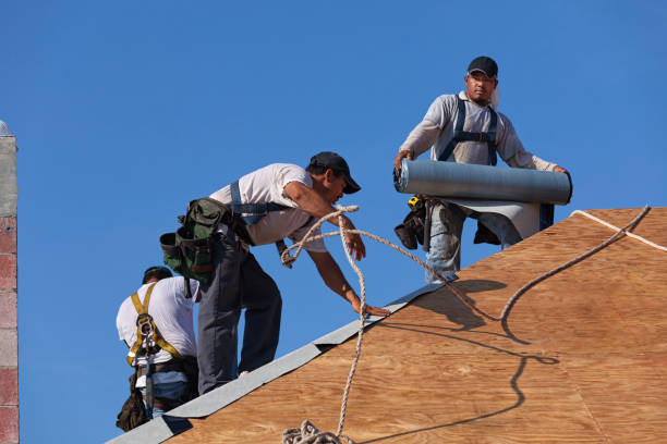 Quick and Trustworthy Emergency Roof Repair Services in Eden Prairie, MN